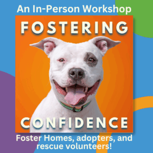 Fostering Confidence