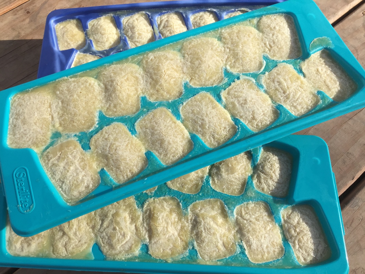 bone broth ice cubes provide mental enrichment and gut support for dogs!