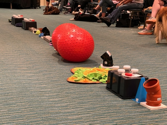 Items are arranged in a linear fashion to introduce young or green dogs to the wonders of scent detection!