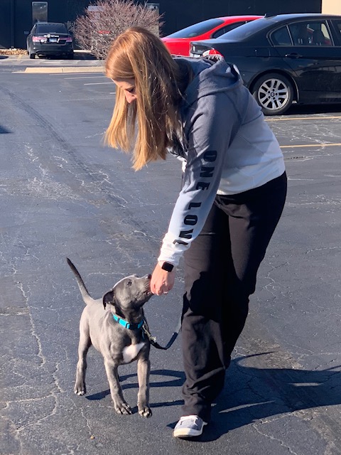 max and handler demonstrate the j curve in the leash