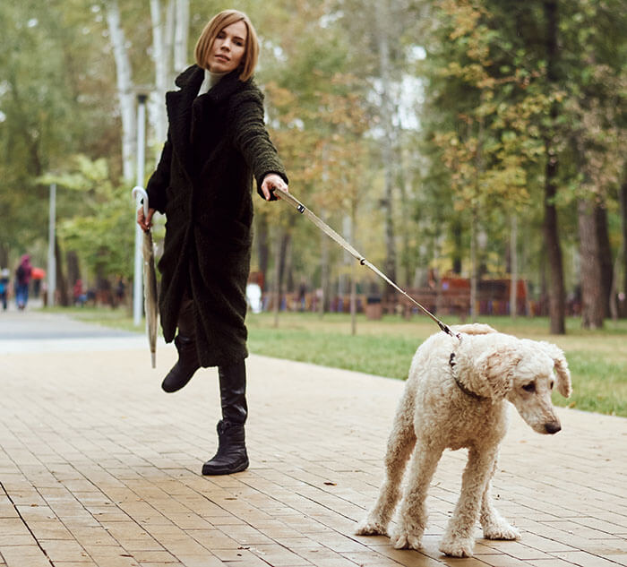 Woman Walking A Dog Pulling The Leash