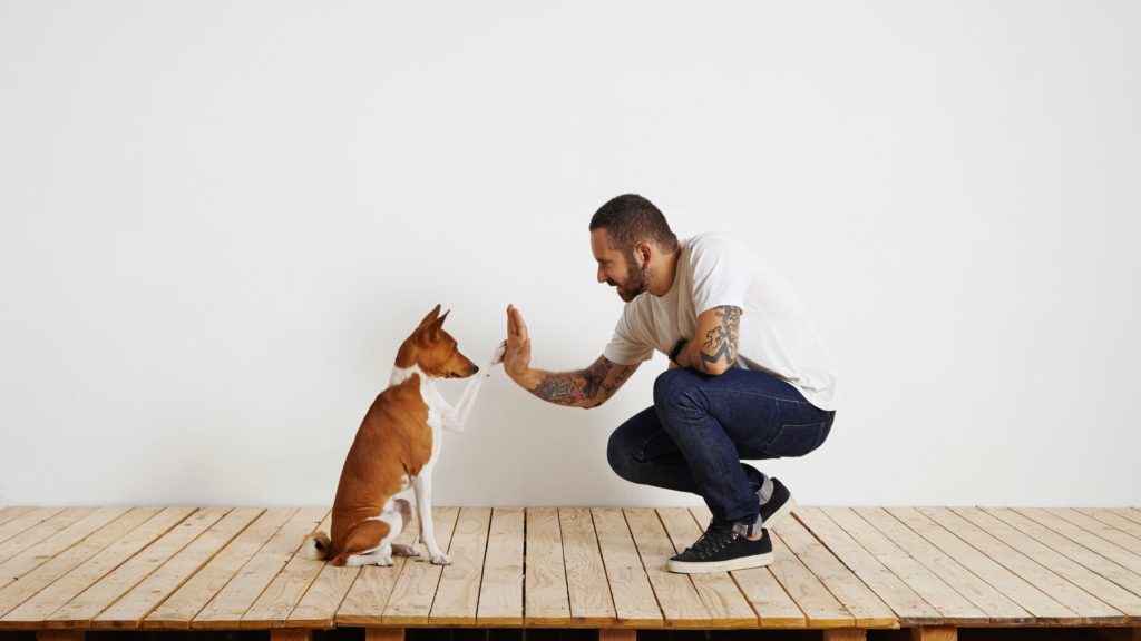Dog Training Goals