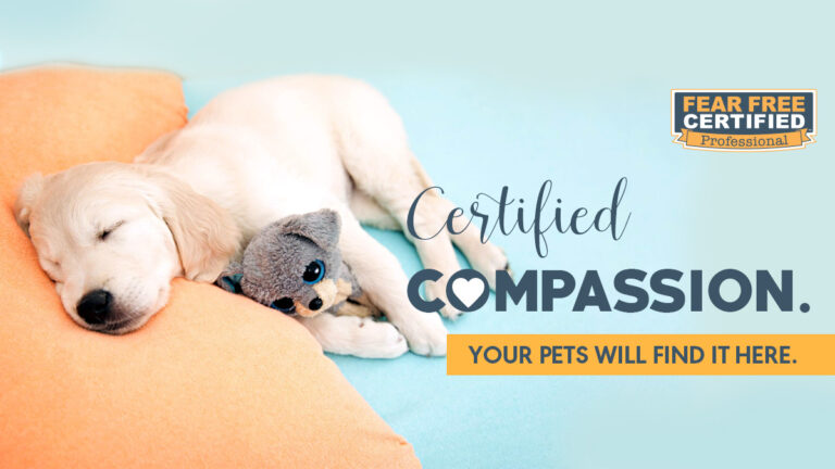 Cover Certified Comfort Dog fear free