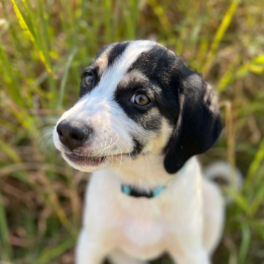 467486088 613686064414258 402468409768558455 N