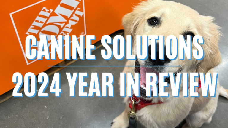 2024 Year In Review Canine Solutions