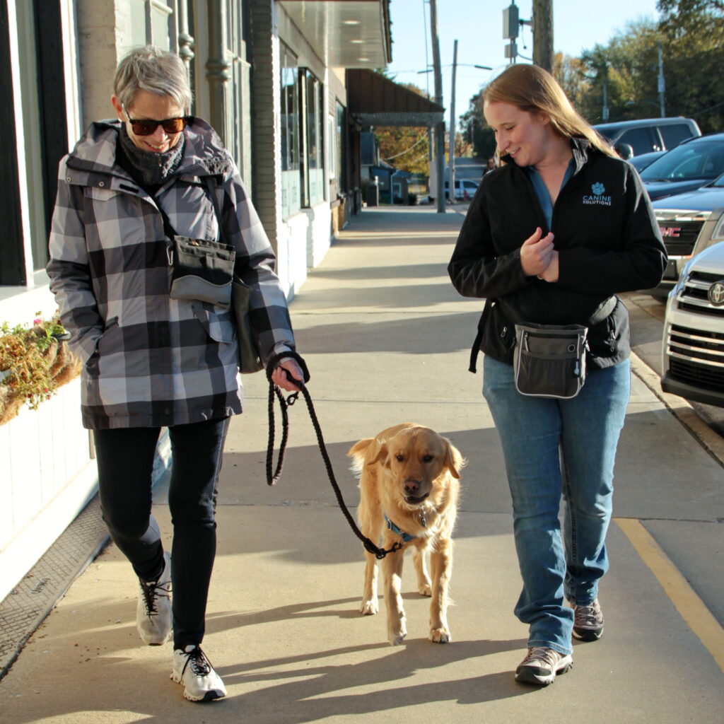 certified professional dog trainer works with dog owner