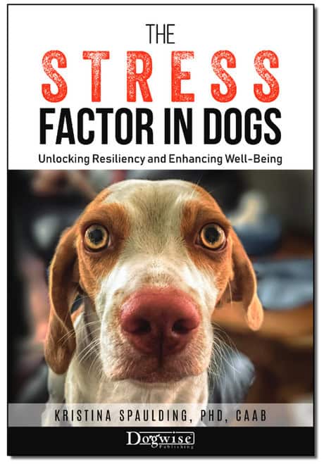 The Stress Factor in Dogs Kristina Spaulding