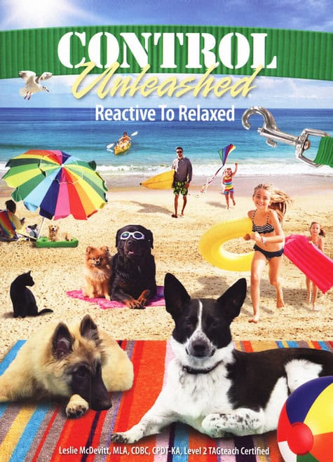 Control Unleahed Reactive to Relaxed dog training pattern games