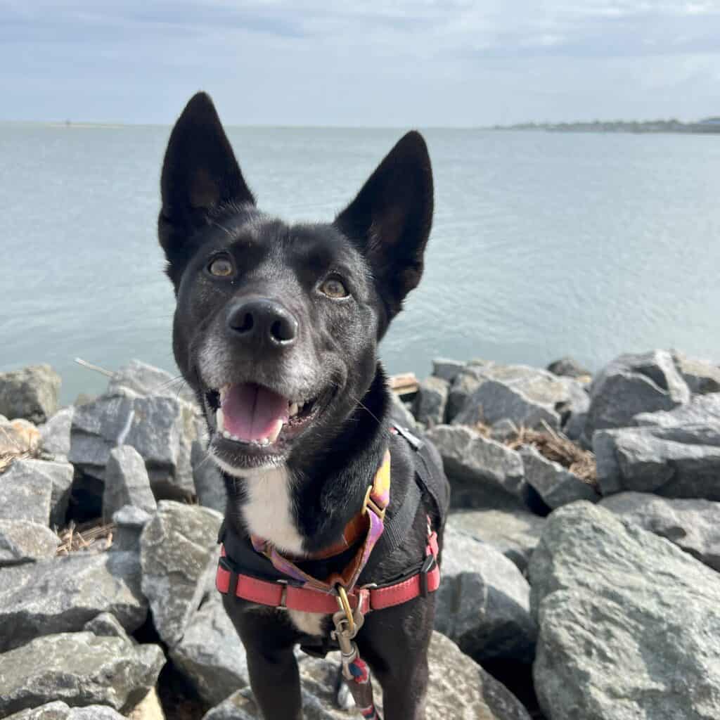 Deja In Key West
