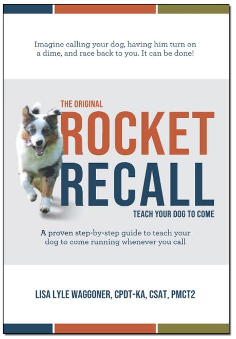 Rocket Recall Ebook Teach Your dog to come