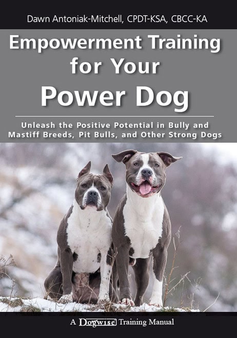 Empowerment Training For Your Power Dog Unleash the Positive Potential in Bully and Mastiff Breeds